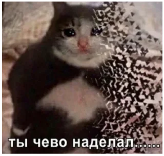 🌟