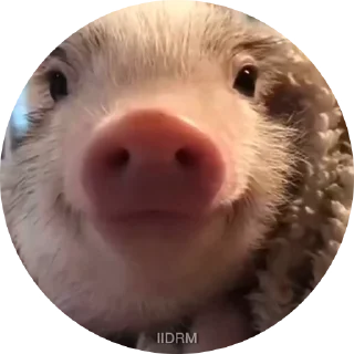 😊