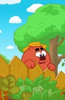 🐻