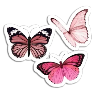 🦋