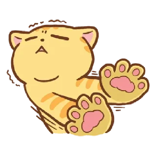 🐱