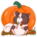 🎃
