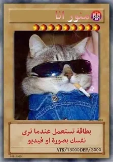 😎