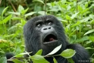 😨