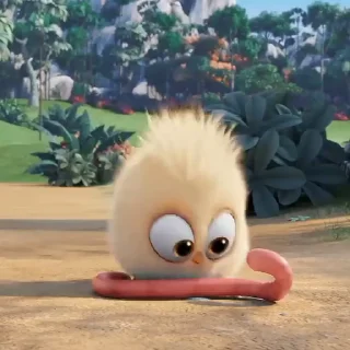 🐣