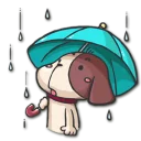 ☔