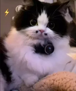 ⚡️