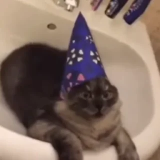 💫