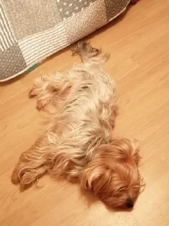 Маша :: @fStikBot