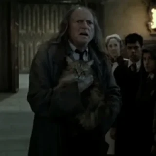 😺