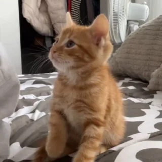 🥲