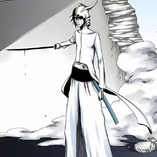 🌟