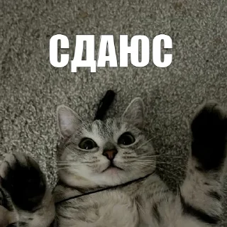 🏳️