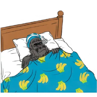 😴