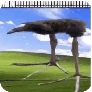 🥲