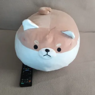 📺