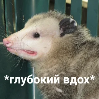 😤