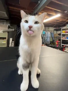 😛