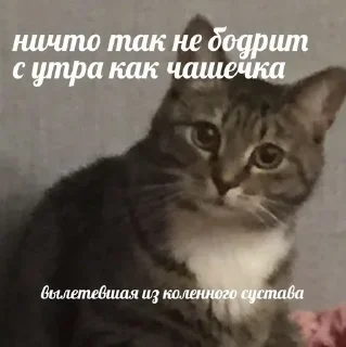 😎