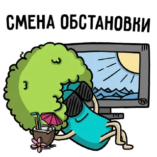 😎