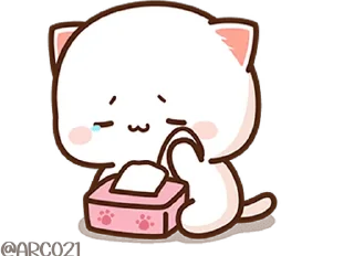 😿