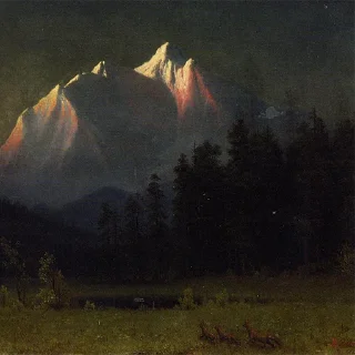 🌲