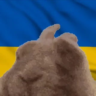 🇺🇦