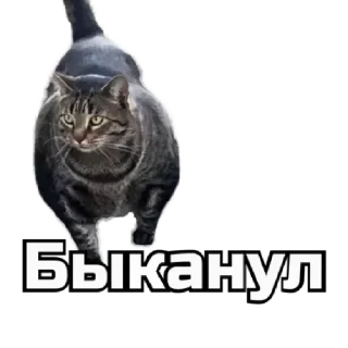 😏