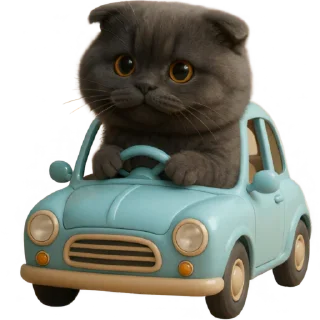 🚙