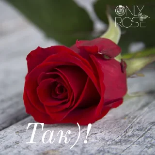 👍