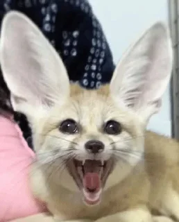 😀