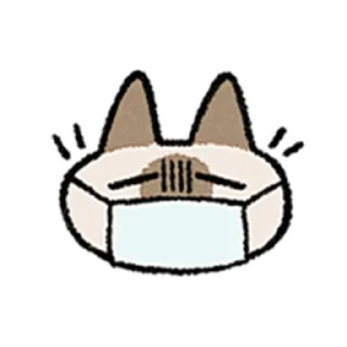 😺