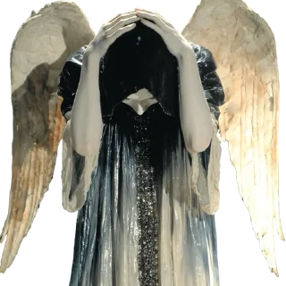 🕊️