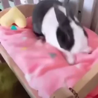 🥛