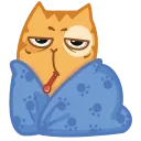 🤒