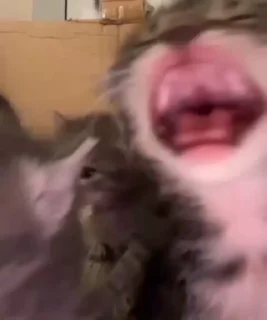 😭