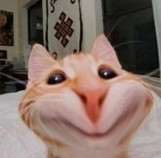 🙂