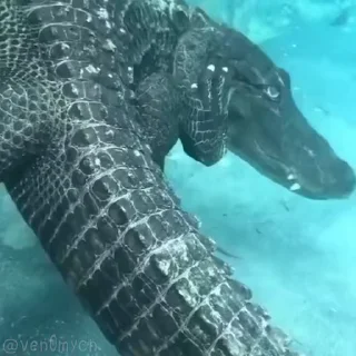 😊