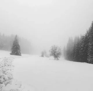 ❄️