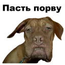 😠