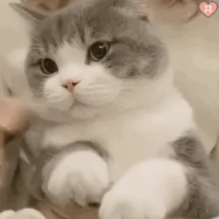 🖐