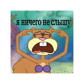 🙉