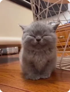 😊