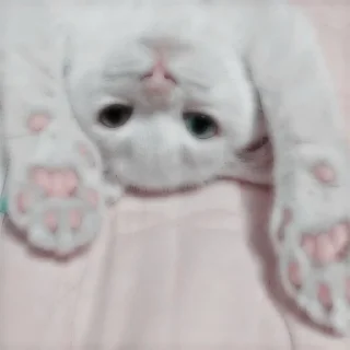 😊