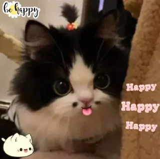 🥳
