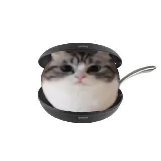🥟