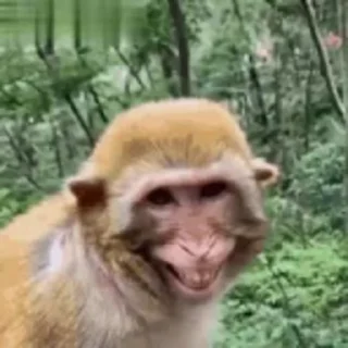 😁