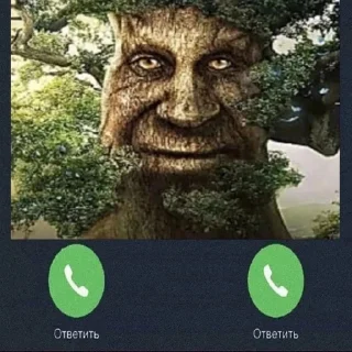 📞