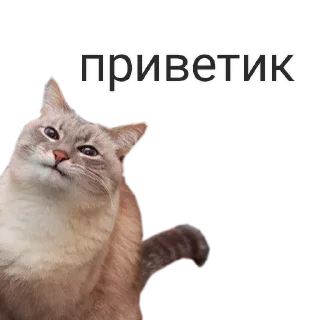 🤨