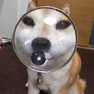 🔍